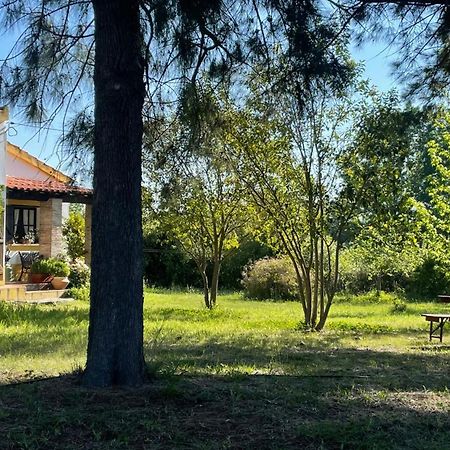 Quinta Dos Trevos - Artes E Oficios Villa Ladoeiro Kültér fotó
