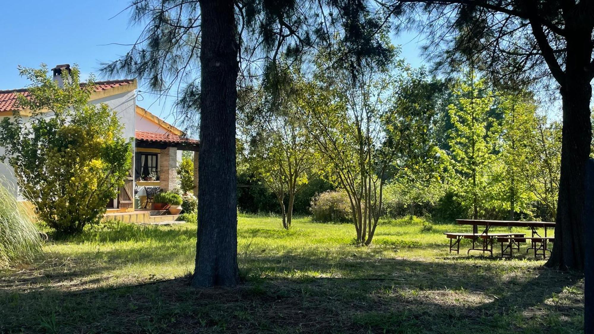 Quinta Dos Trevos - Artes E Oficios Villa Ladoeiro Kültér fotó