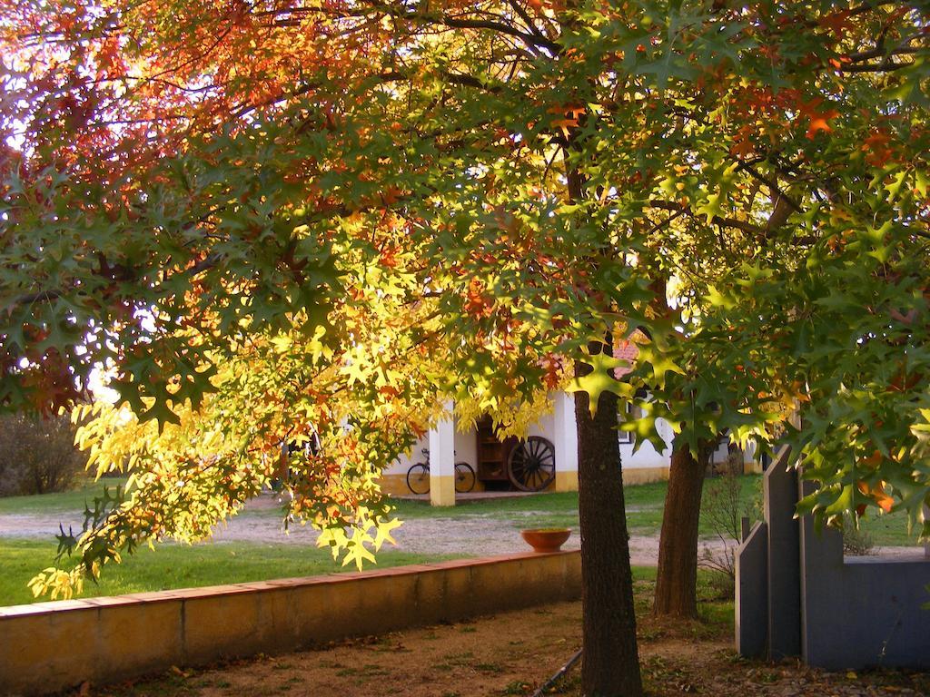 Quinta Dos Trevos - Artes E Oficios Villa Ladoeiro Kültér fotó