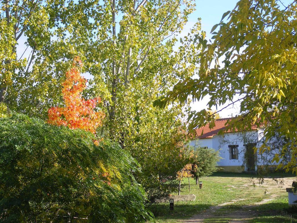 Quinta Dos Trevos - Artes E Oficios Villa Ladoeiro Kültér fotó