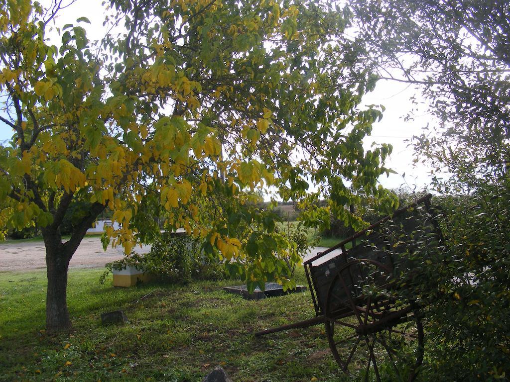 Quinta Dos Trevos - Artes E Oficios Villa Ladoeiro Kültér fotó