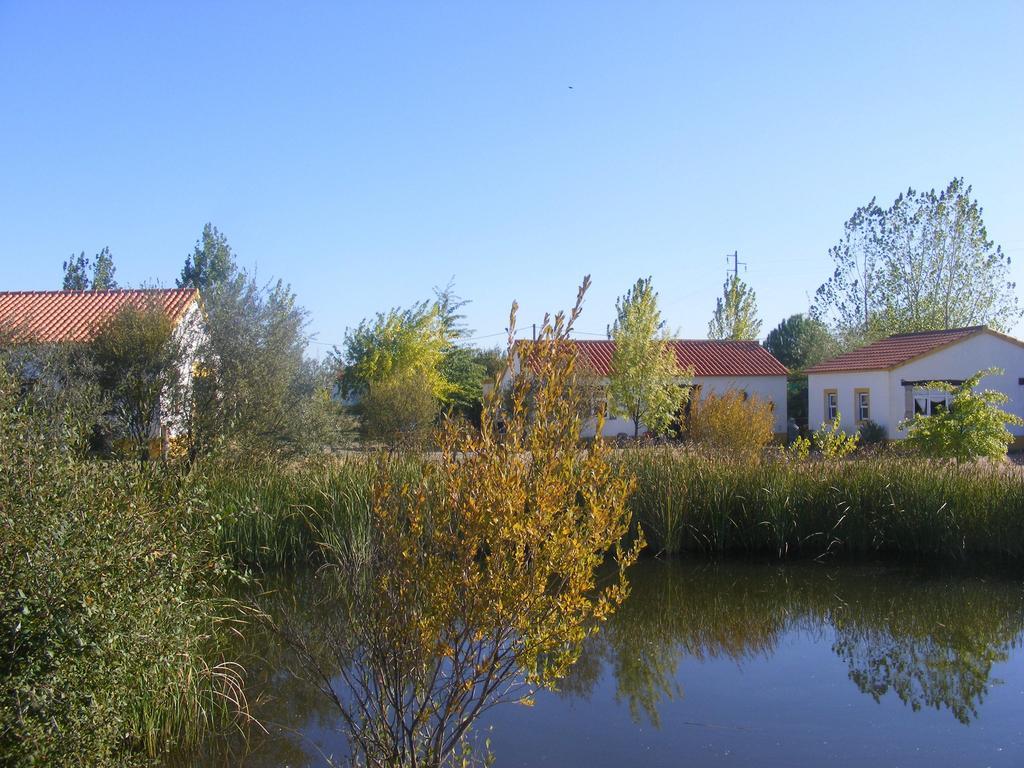 Quinta Dos Trevos - Artes E Oficios Villa Ladoeiro Kültér fotó